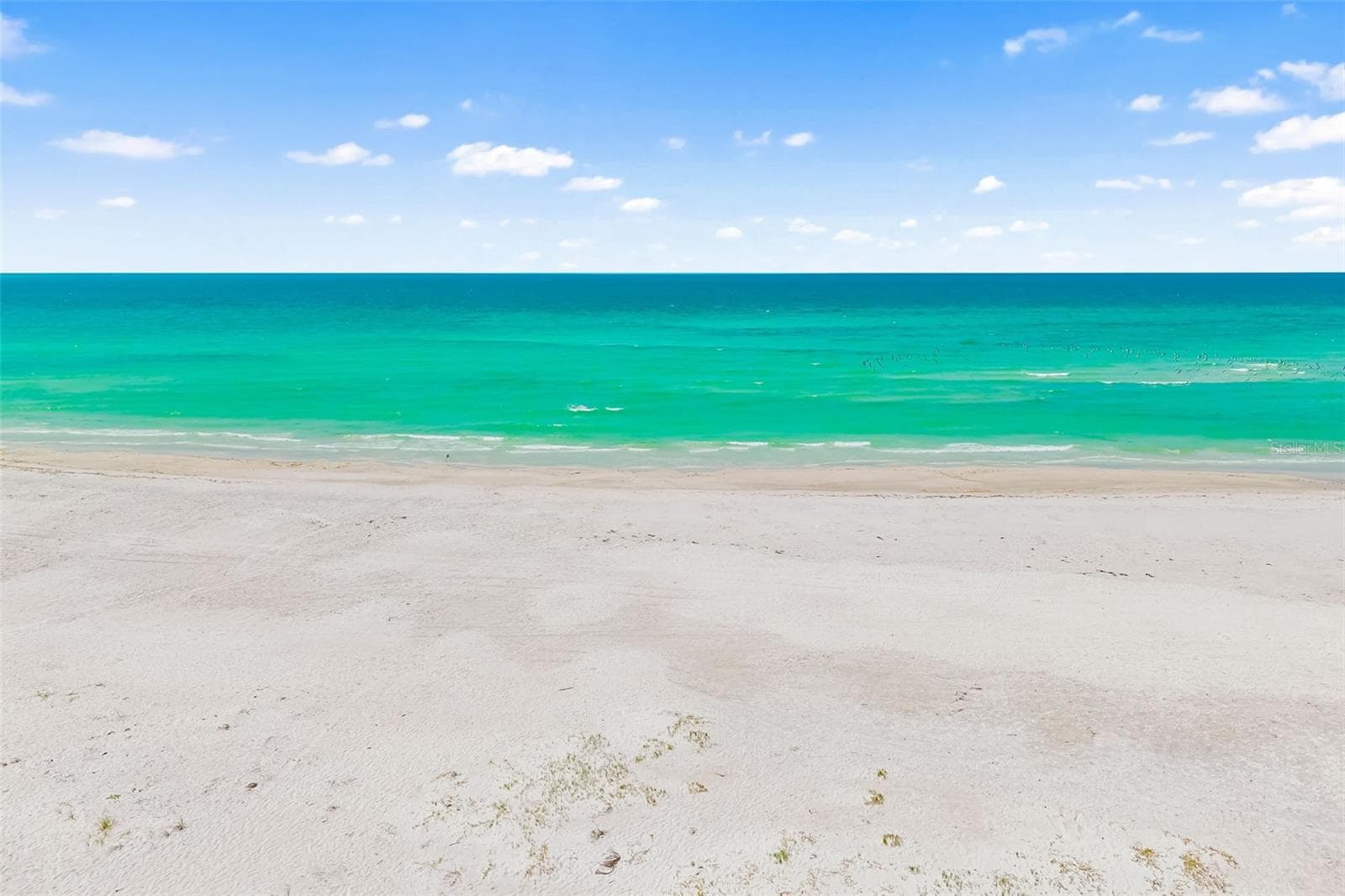 local attractions - 5182 LANCEWOOD DR #14, SARASOTA