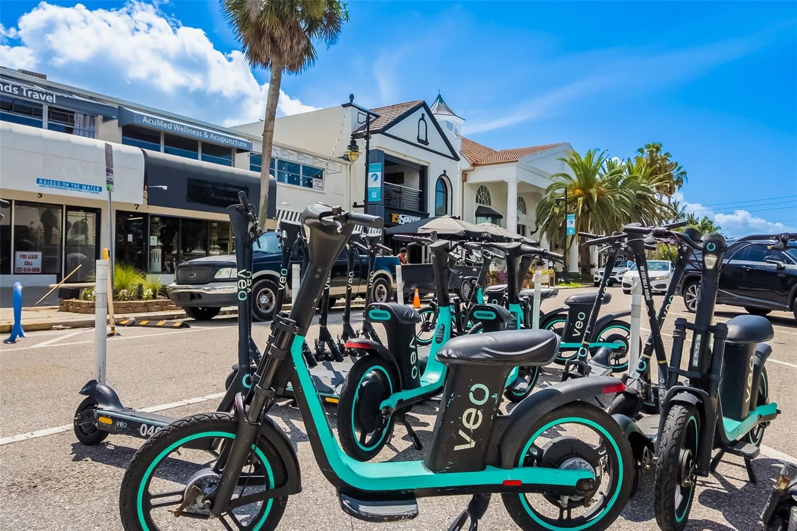local attractions - 5182 LANCEWOOD DR #14, SARASOTA