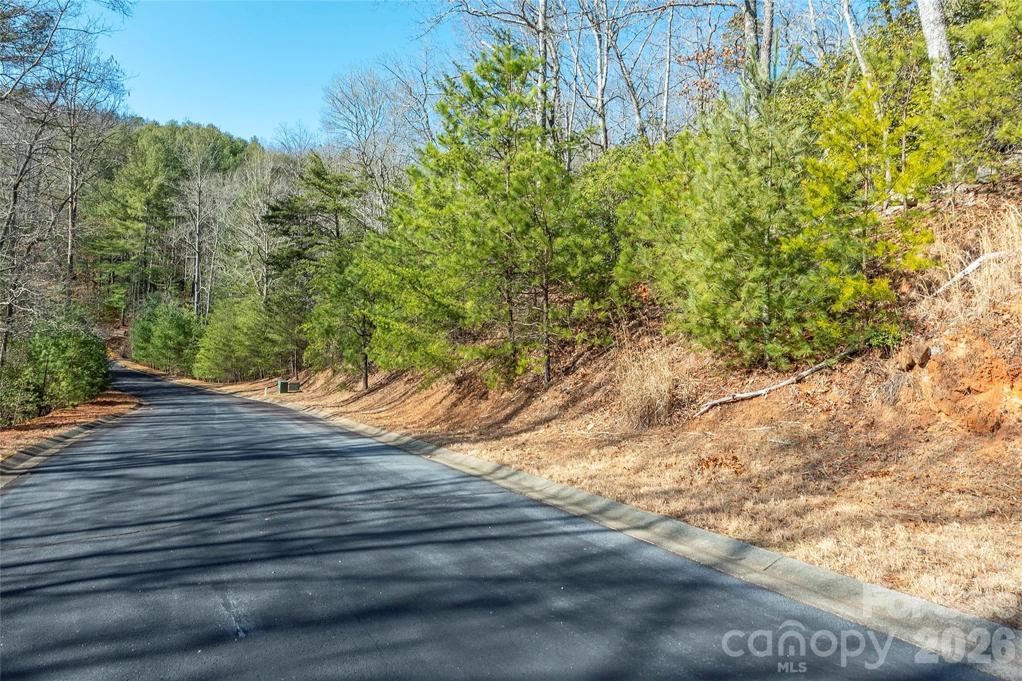 Lot at 99999 Caddis Lane, Horse Shoe, photo 8 of 31
