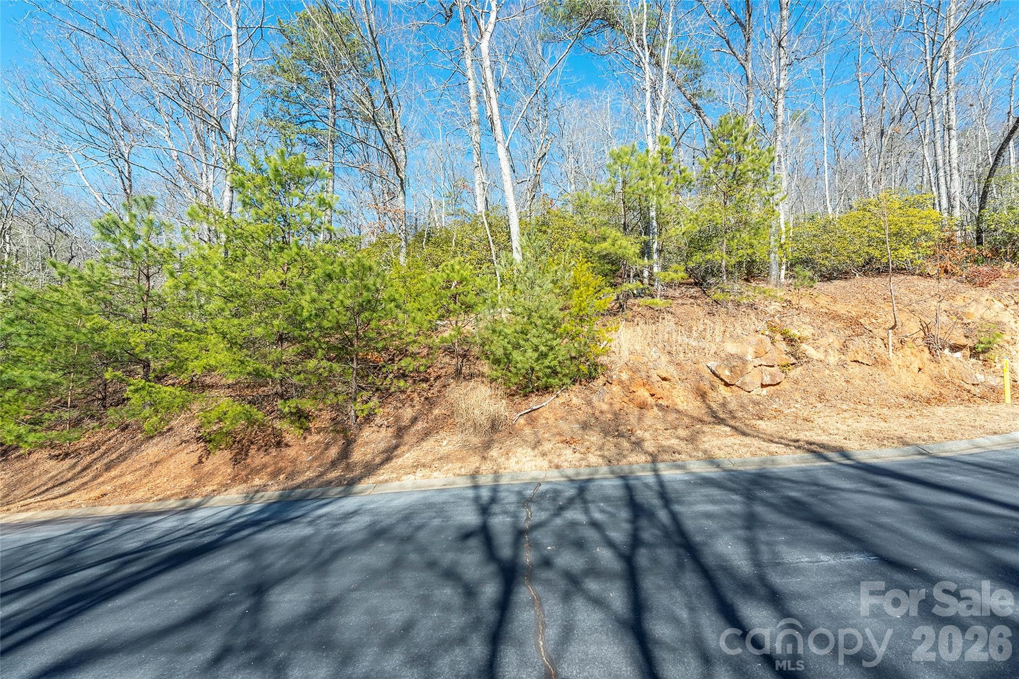 Lot at 99999 Caddis Lane, Horse Shoe, photo 9 of 31