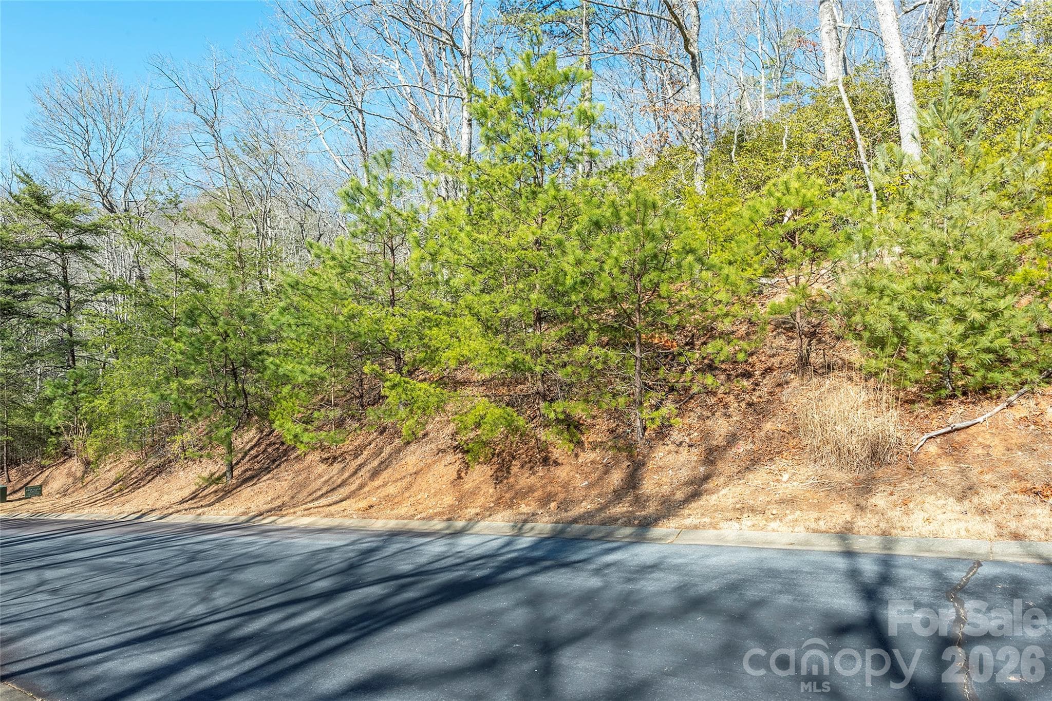Lot at 99999 Caddis Lane, Horse Shoe, photo 10 of 31