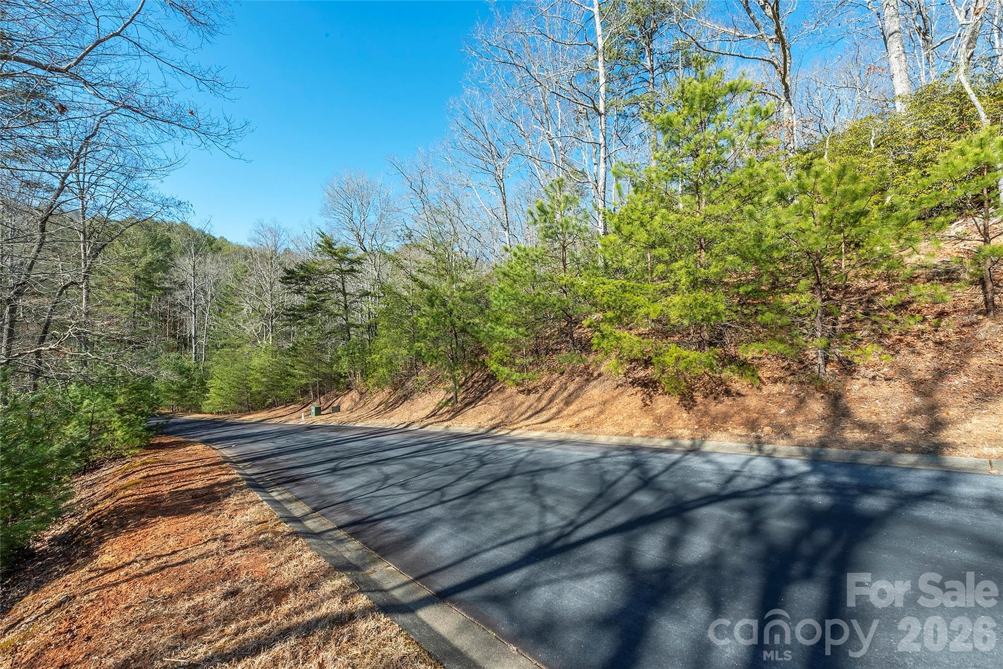 Lot at 99999 Caddis Lane, Horse Shoe, photo 11 of 31