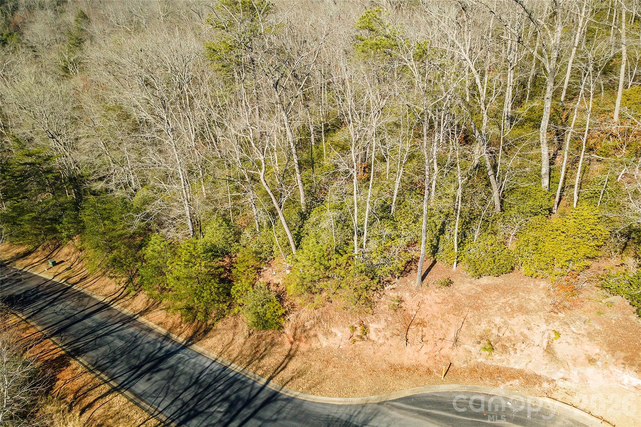 Lot at 99999 Caddis Lane, Horse Shoe, photo 12 of 31