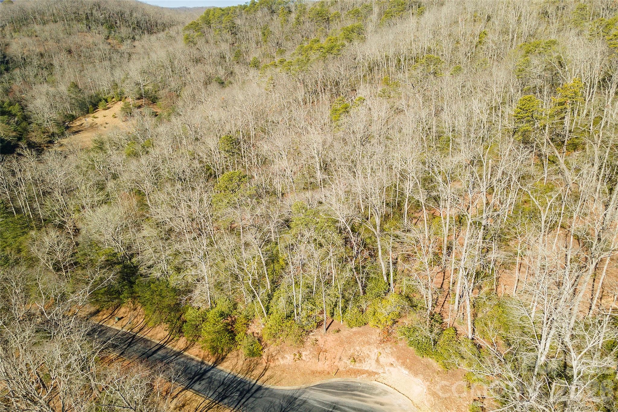 Lot at 99999 Caddis Lane, Horse Shoe, photo 13 of 31