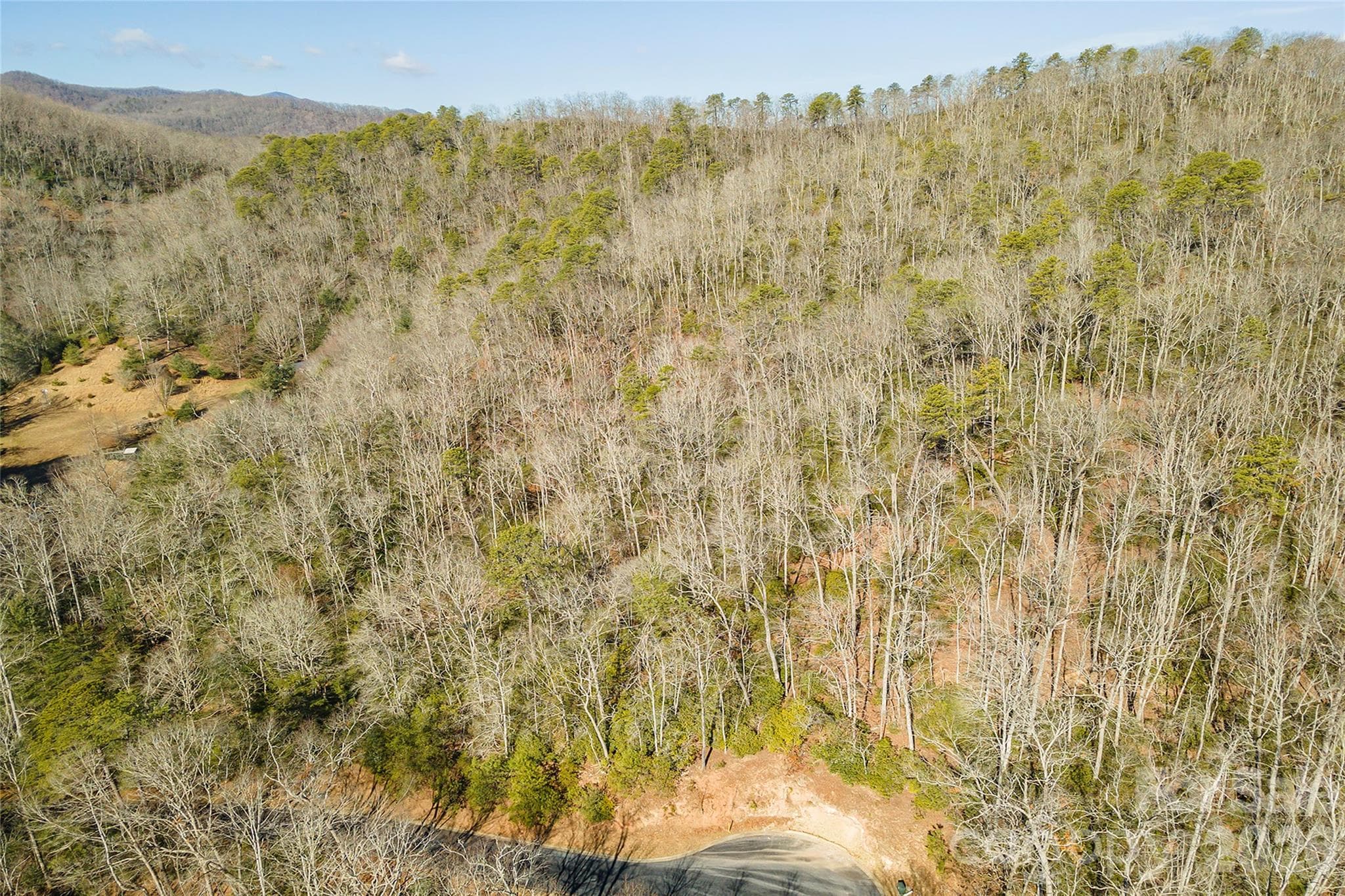 Lot at 99999 Caddis Lane, Horse Shoe, photo 14 of 31