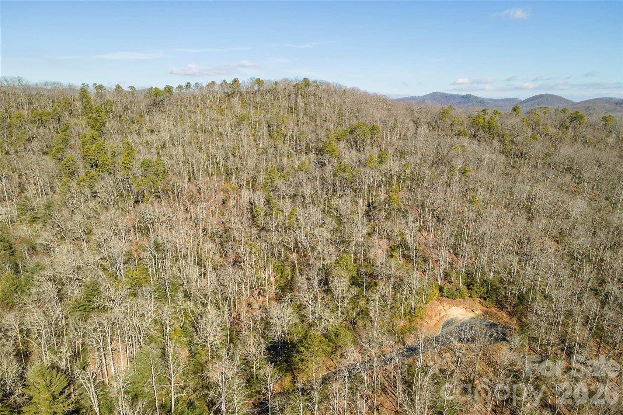 Lot at 99999 Caddis Lane, Horse Shoe, photo 16 of 31