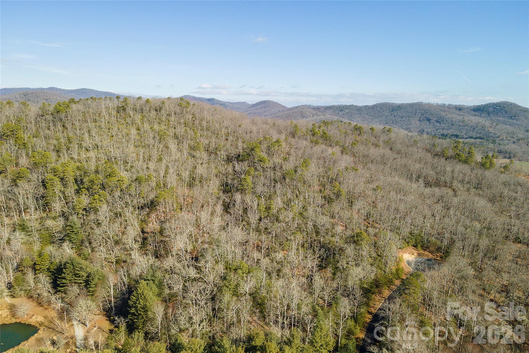 Lot at 99999 Caddis Lane, Horse Shoe, photo 17 of 31