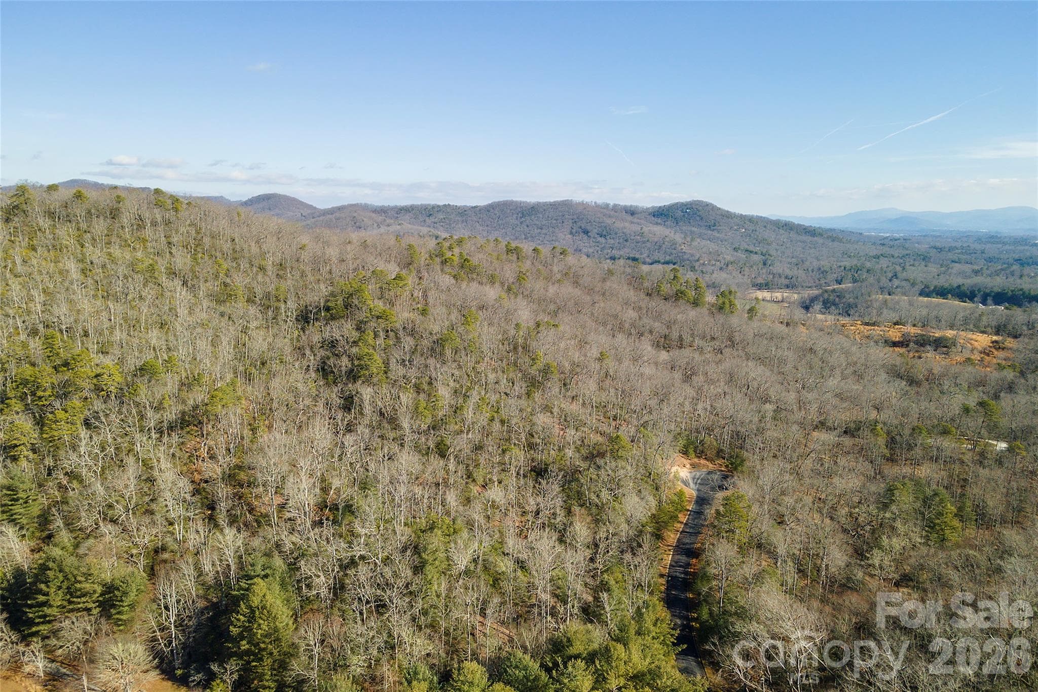 Lot at 99999 Caddis Lane, Horse Shoe, photo 18 of 31