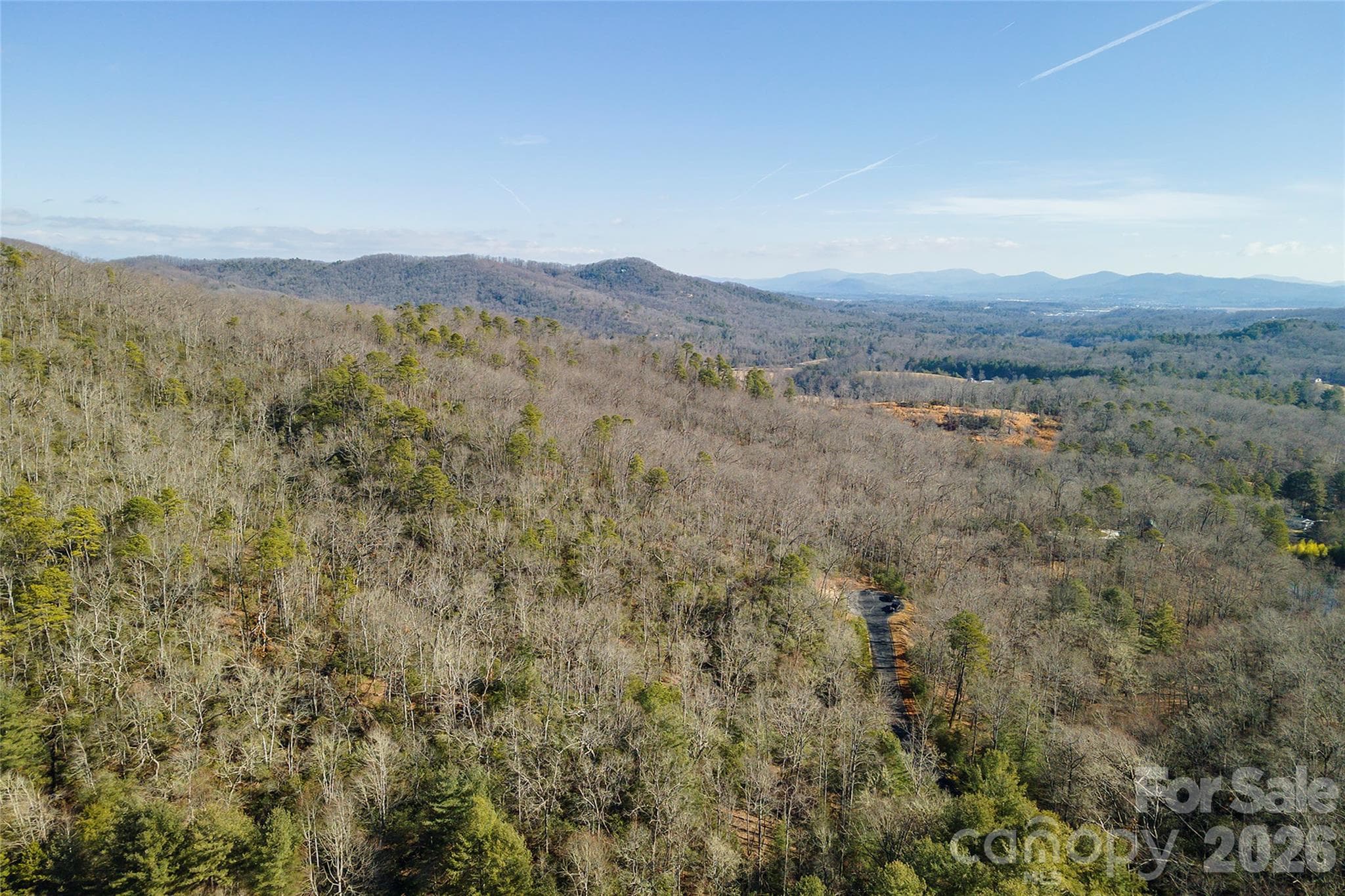 Lot at 99999 Caddis Lane, Horse Shoe, photo 19 of 31