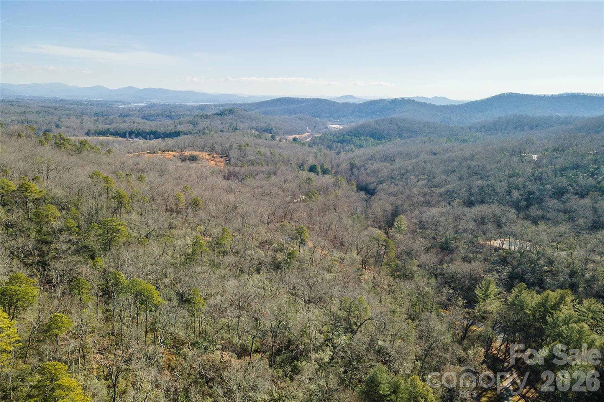 Lot at 99999 Caddis Lane, Horse Shoe, photo 21 of 31