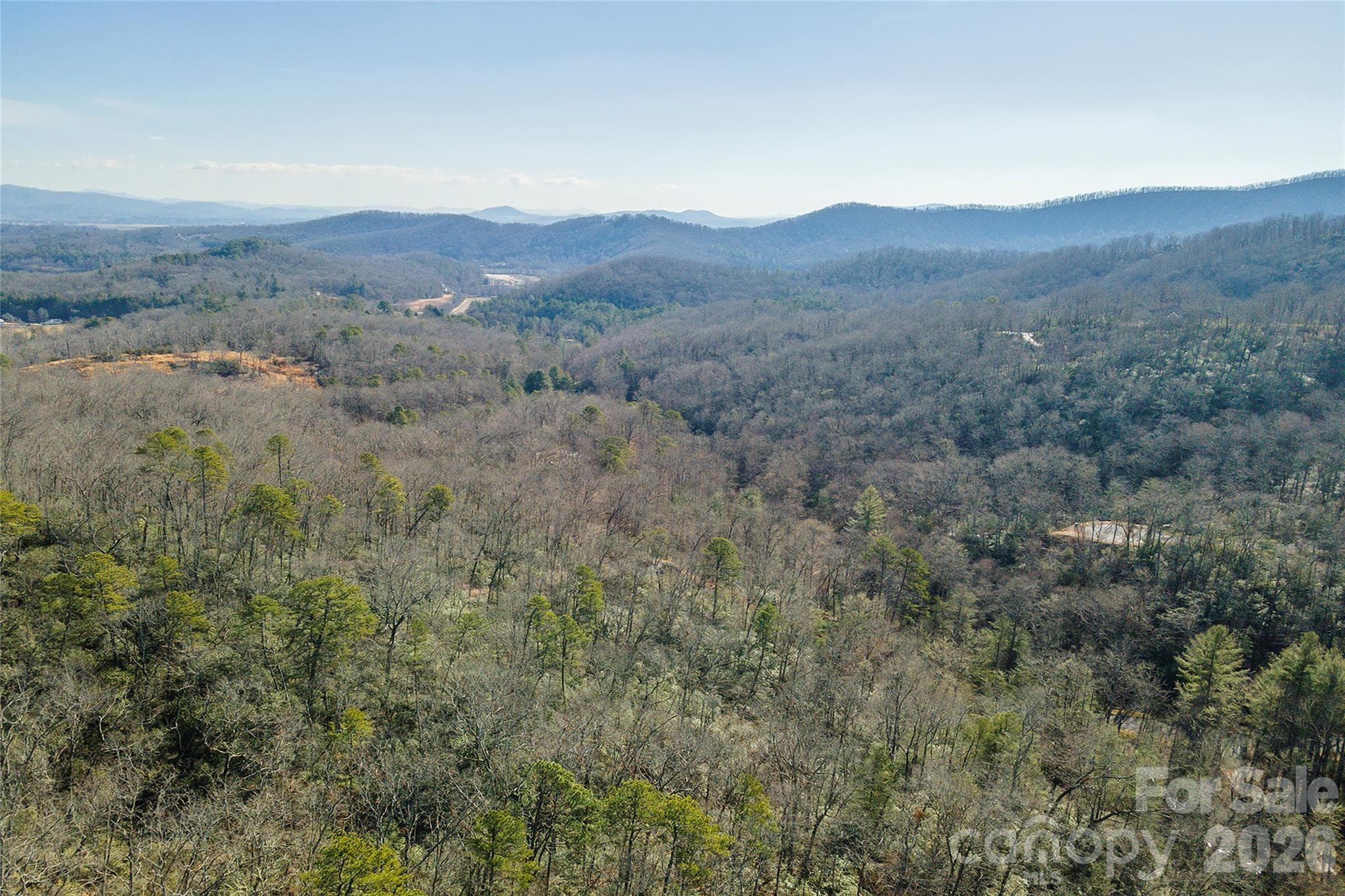 Lot at 99999 Caddis Lane, Horse Shoe, photo 22 of 31