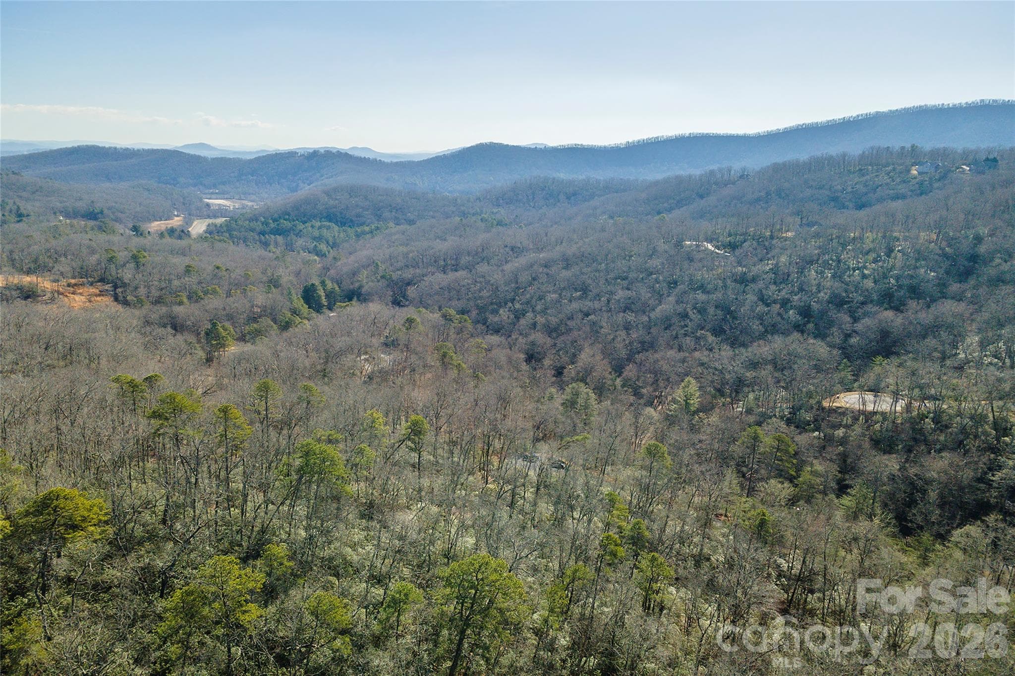 Lot at 99999 Caddis Lane, Horse Shoe, photo 23 of 31