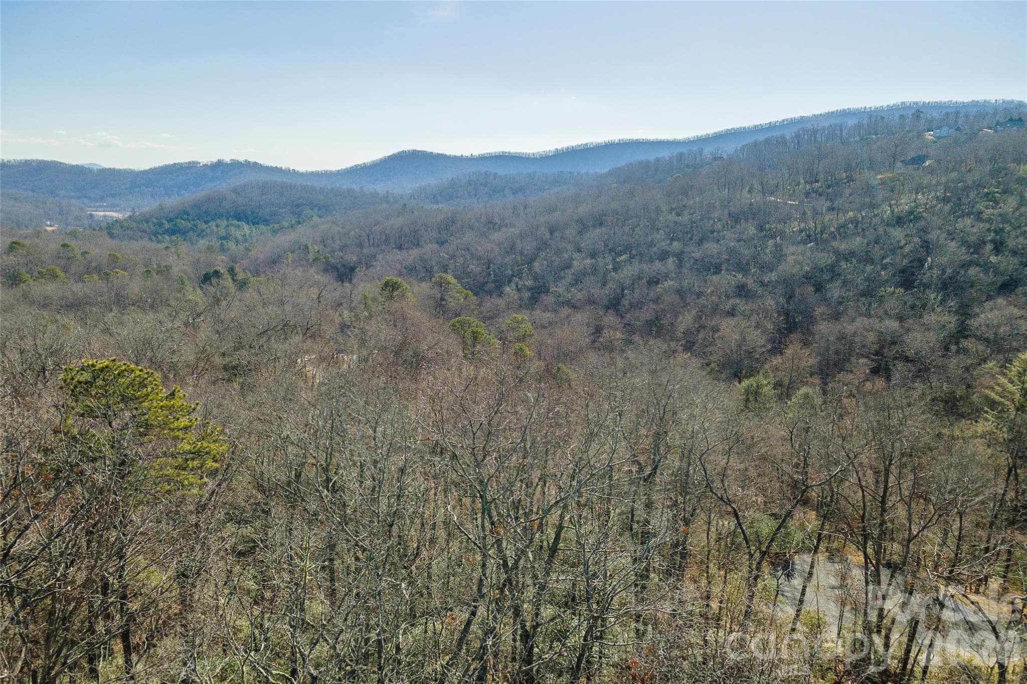 Lot at 99999 Caddis Lane, Horse Shoe, photo 24 of 31