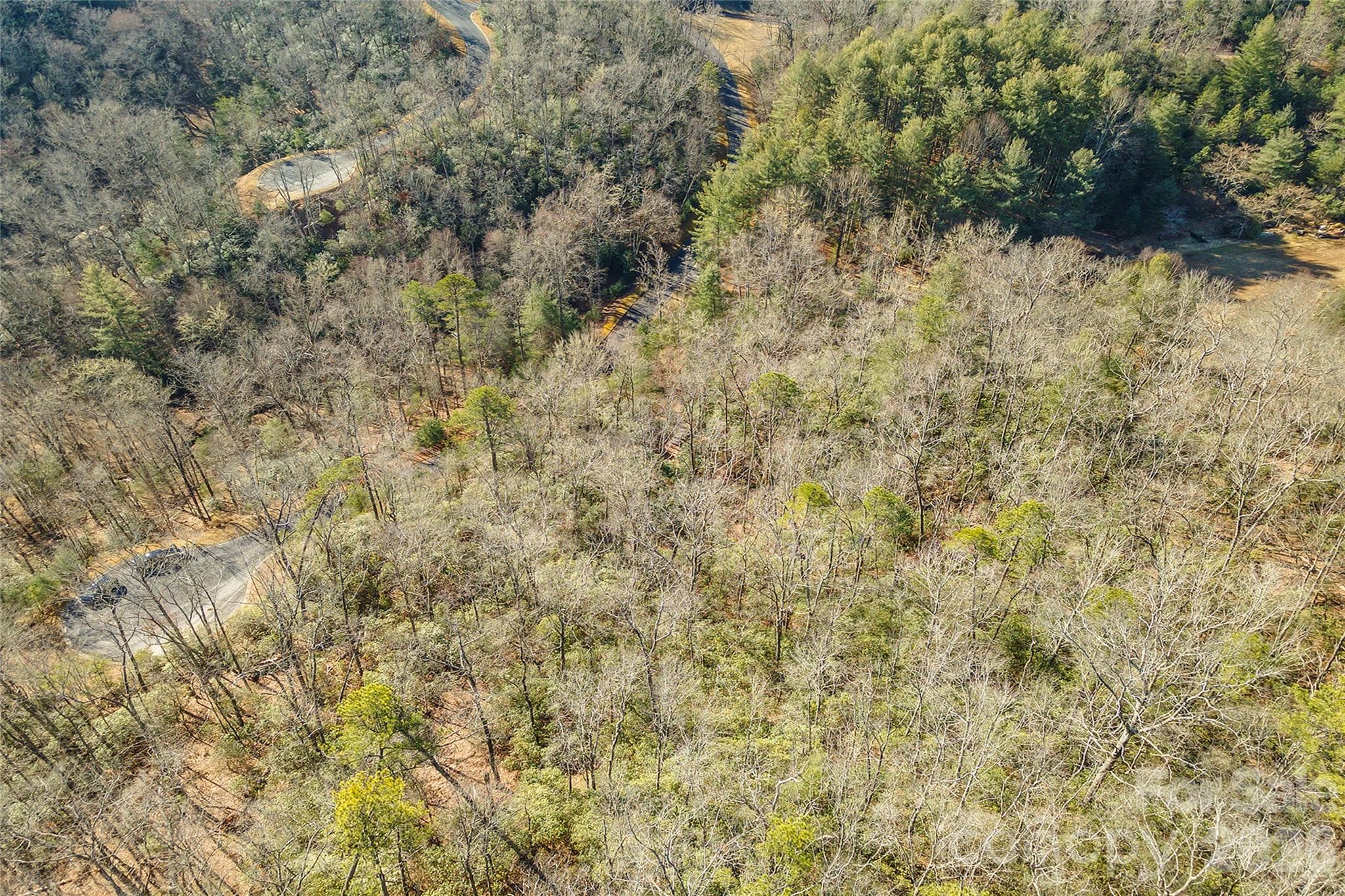 Lot at 99999 Caddis Lane, Horse Shoe, photo 25 of 31