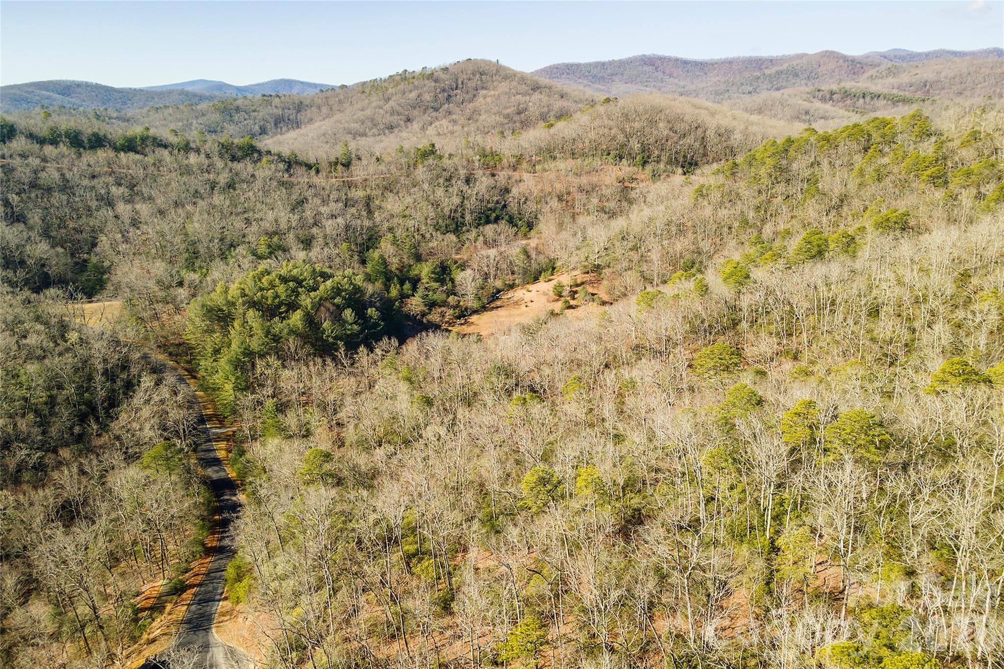Lot at 99999 Caddis Lane, Horse Shoe, photo 27 of 31