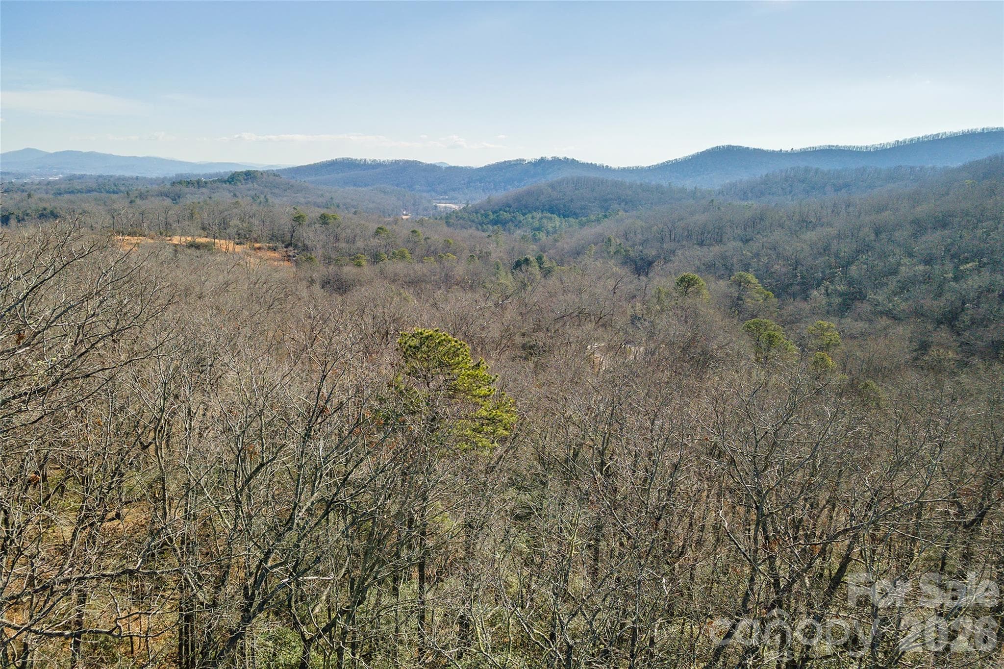 Lot at 99999 Caddis Lane, Horse Shoe, photo 31 of 31