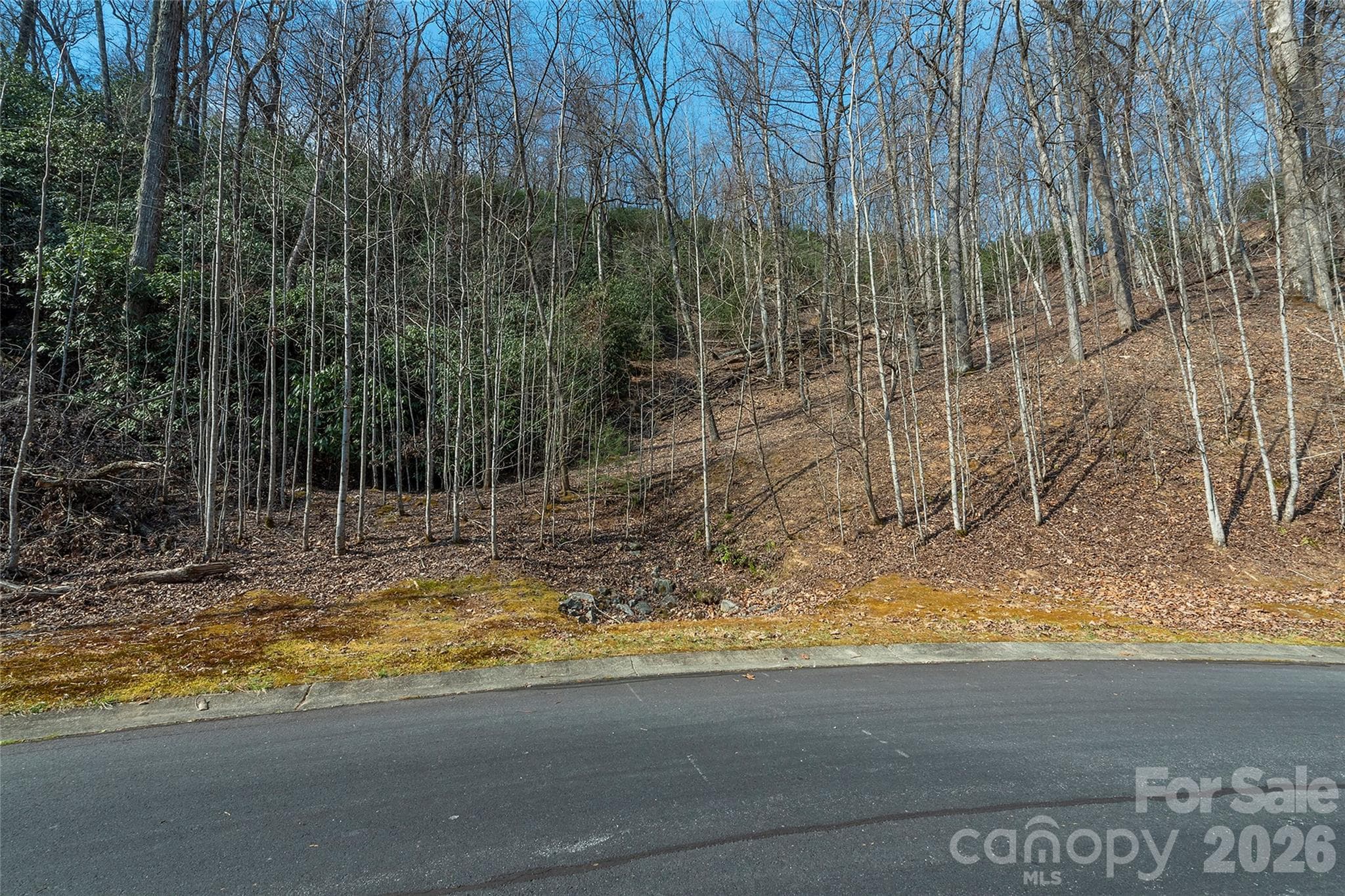 Lot at Lot 11 Shining Rock Path, Horse Shoe, photo 3 of 27