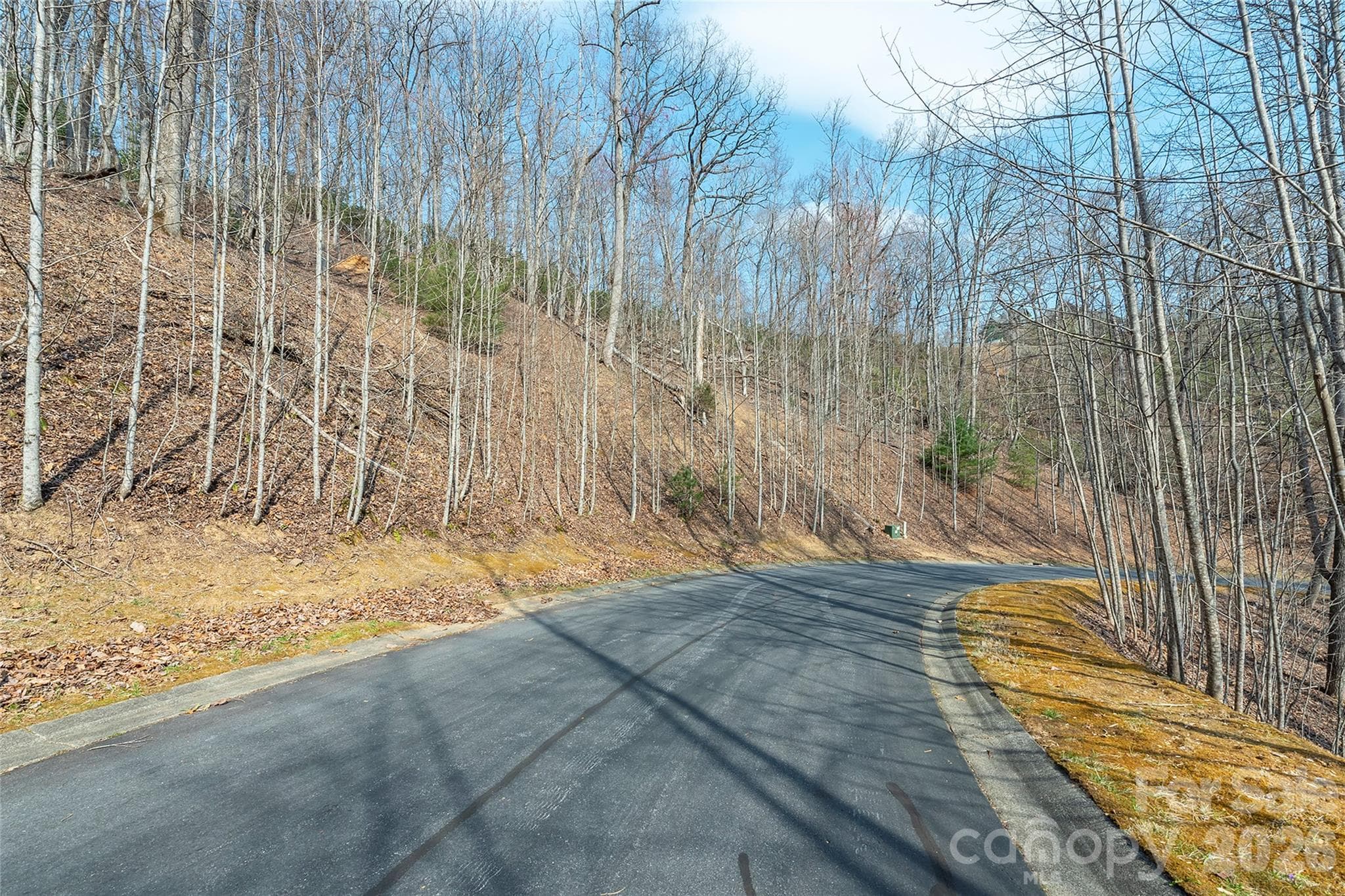 Lot at Lot 11 Shining Rock Path, Horse Shoe, photo 9 of 27