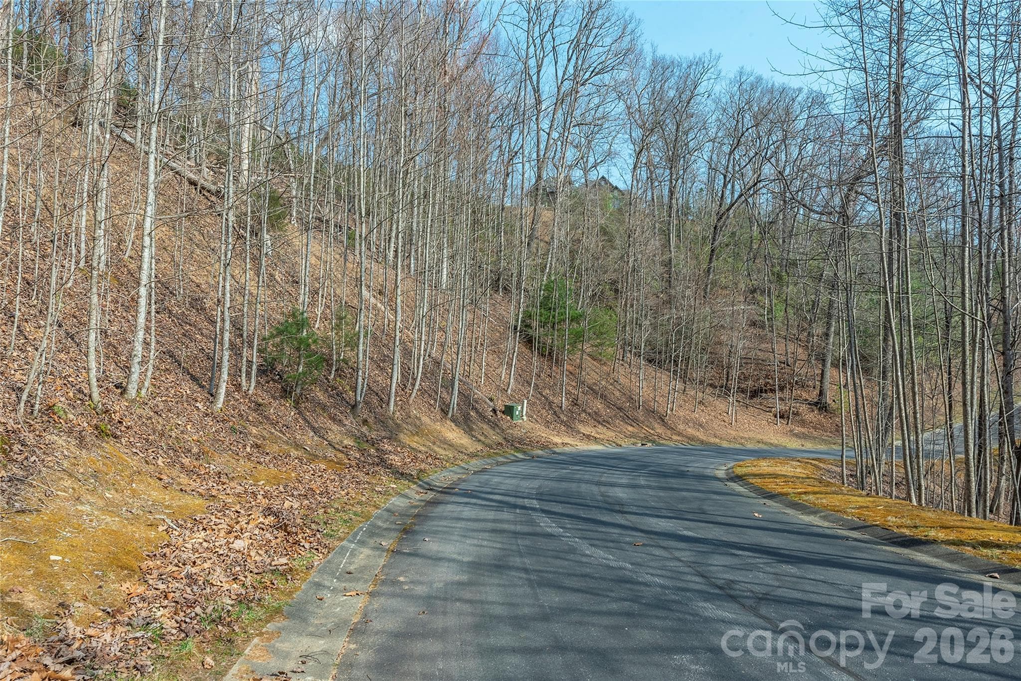 Lot at Lot 11 Shining Rock Path, Horse Shoe, photo 10 of 27