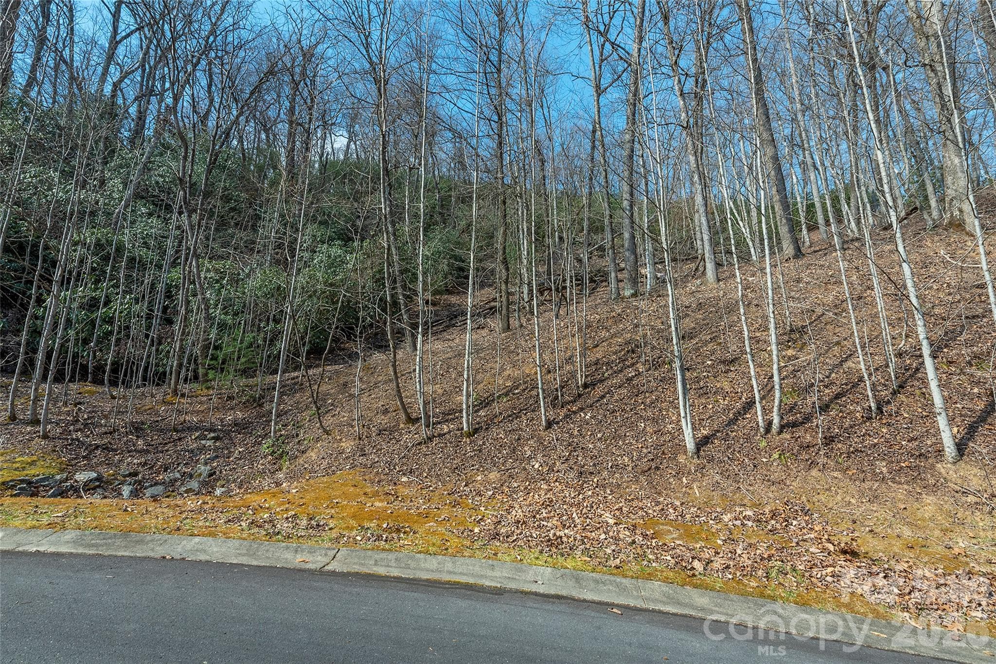 Lot at Lot 11 Shining Rock Path, Horse Shoe, photo 11 of 27