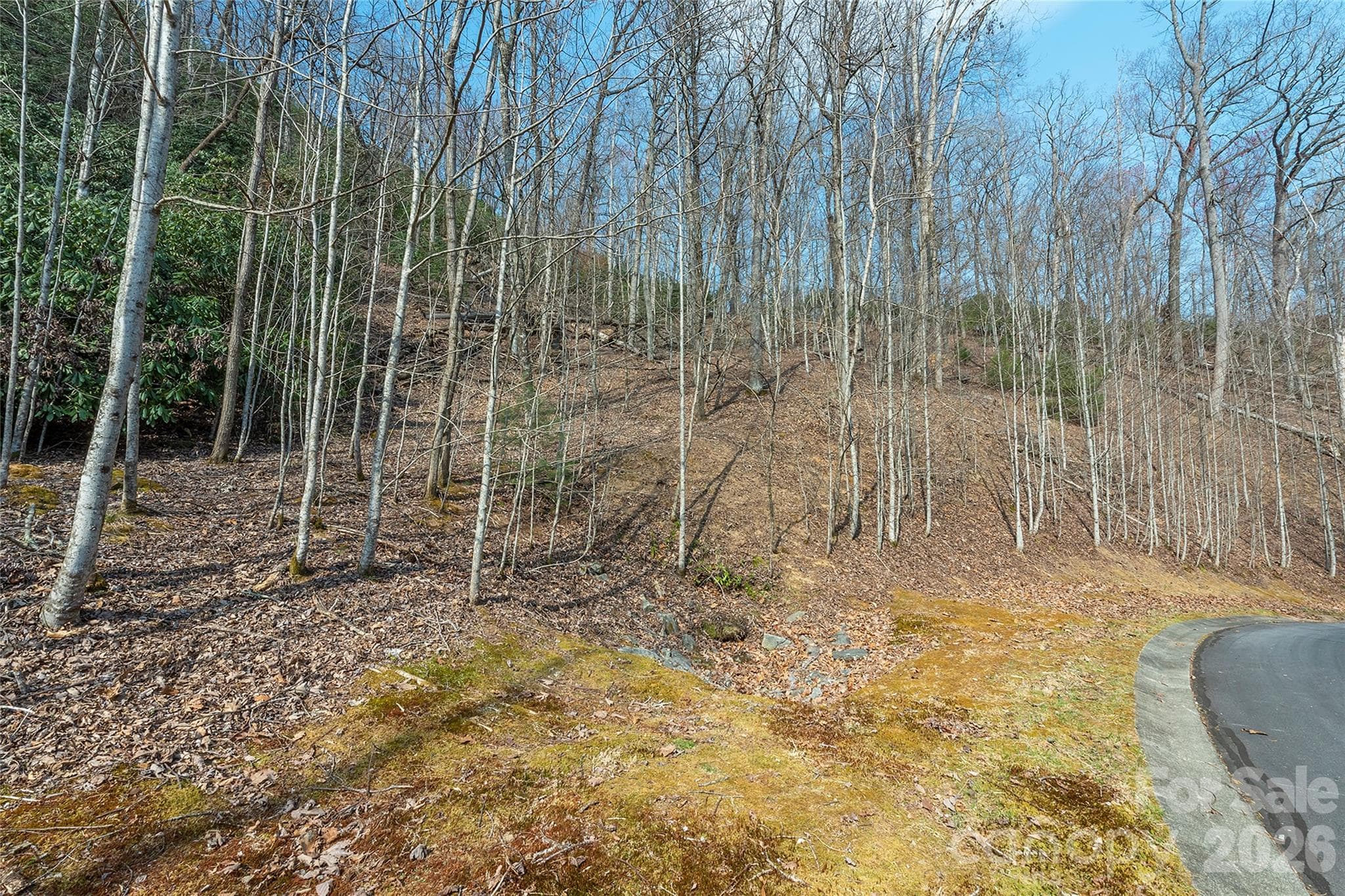 Lot at Lot 11 Shining Rock Path, Horse Shoe, photo 12 of 27