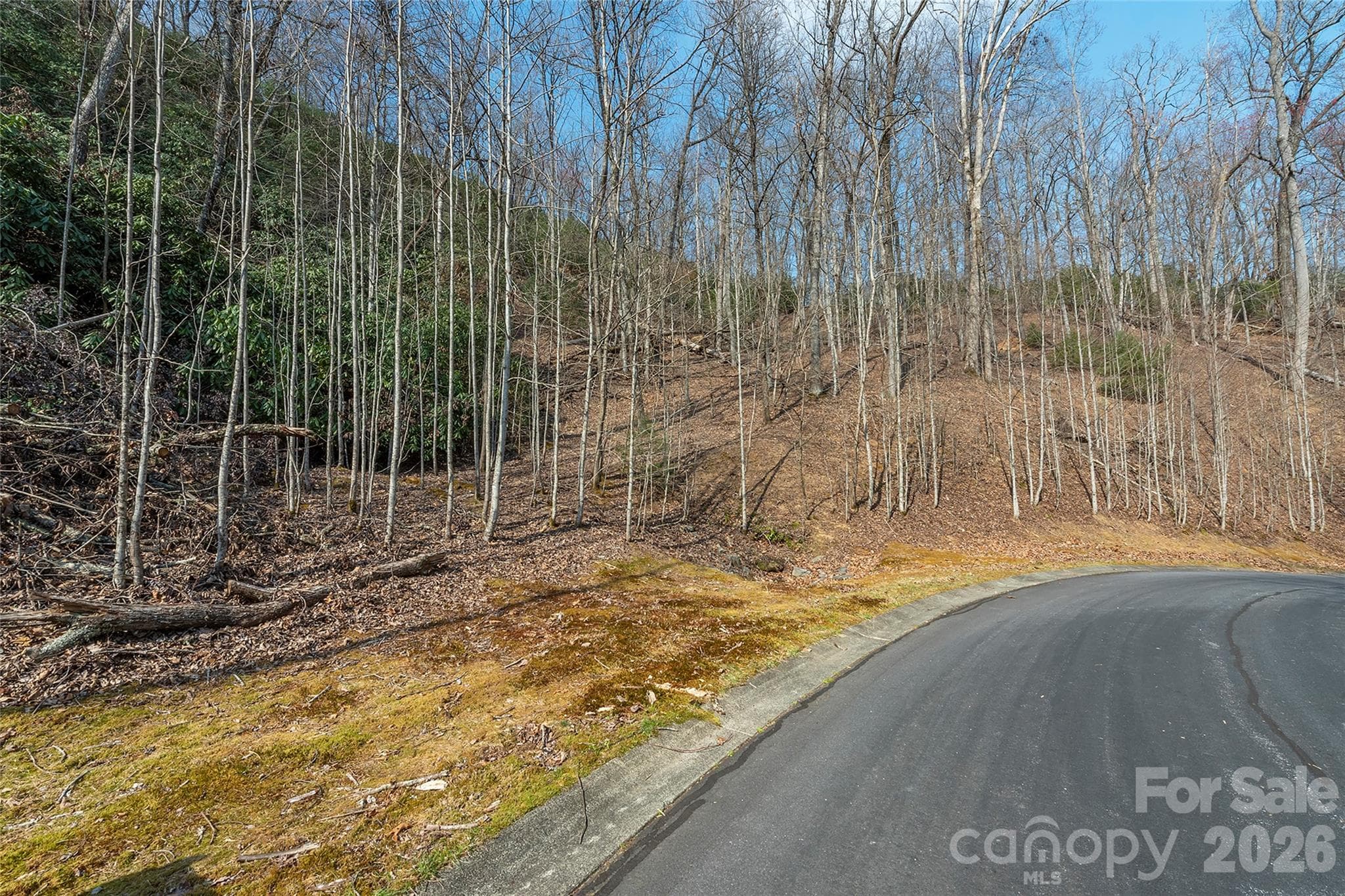 Lot at Lot 12 Shining Rock Path, Horse Shoe, photo 2 of 29