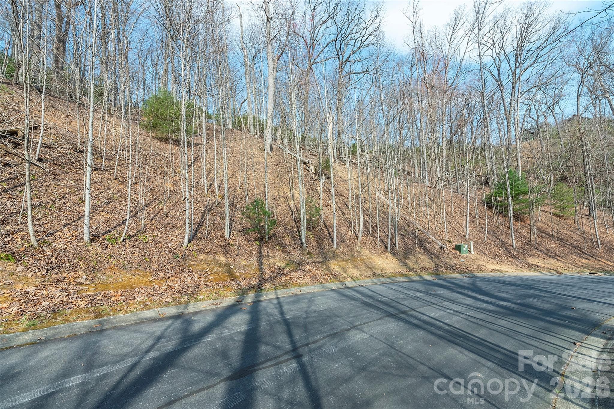 Lot at Lot 12 Shining Rock Path, Horse Shoe, photo 3 of 29