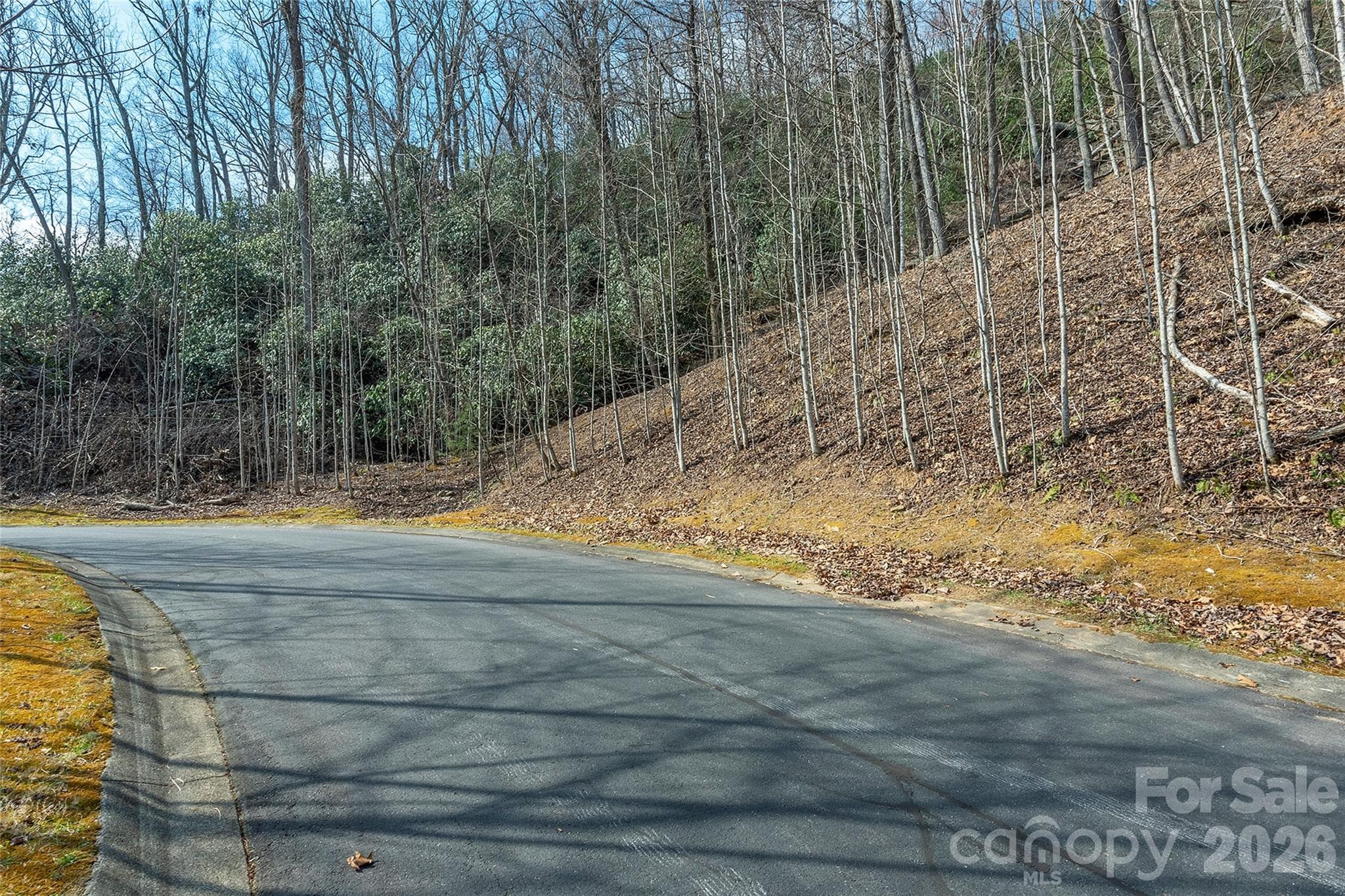 Lot at Lot 12 Shining Rock Path, Horse Shoe, photo 9 of 29