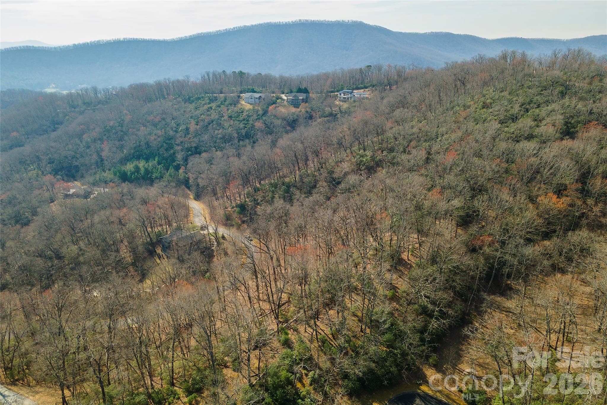 Lot at Lot 12 Shining Rock Path, Horse Shoe, photo 17 of 29