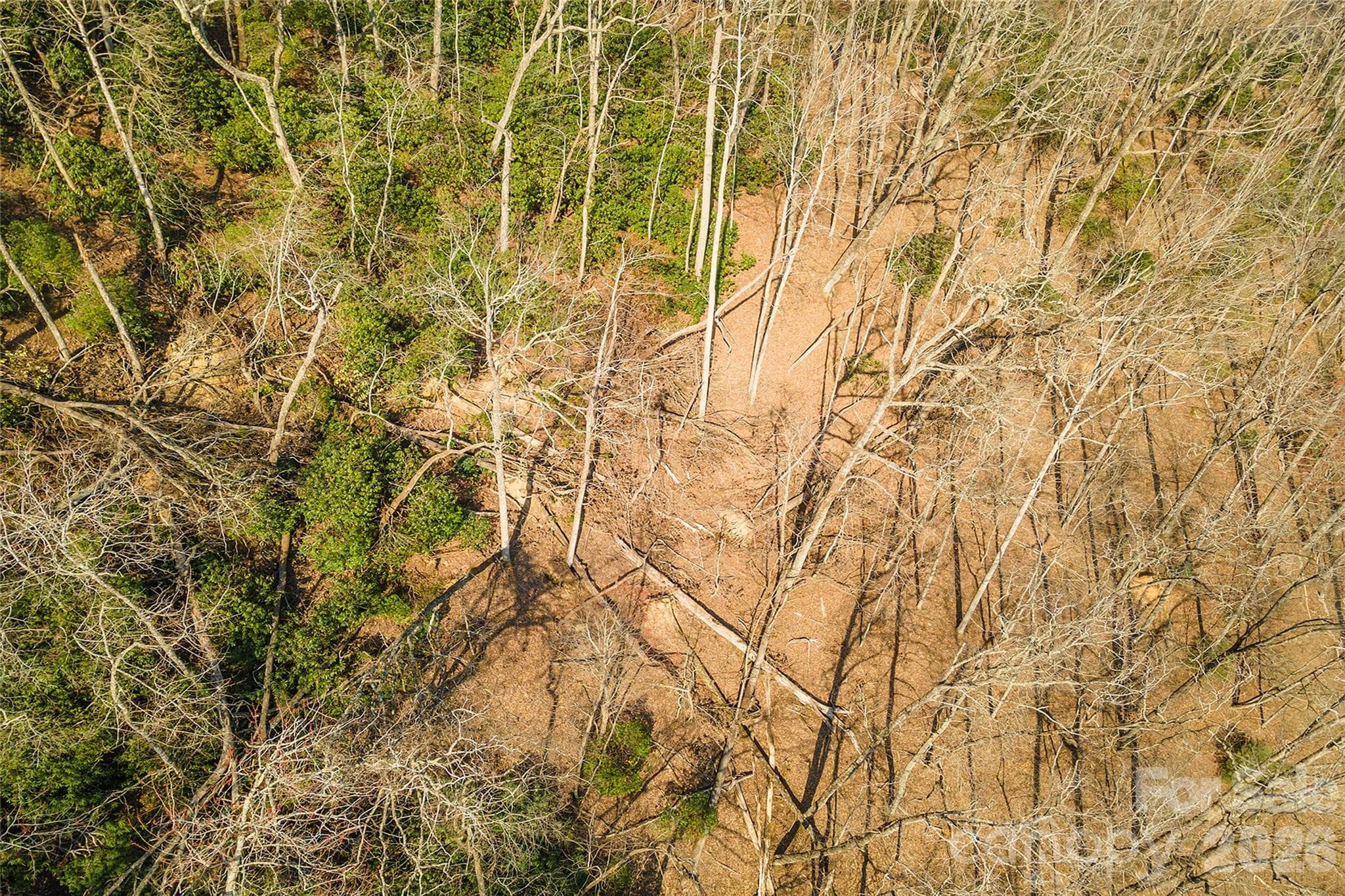 Lot at Lot 12 Shining Rock Path, Horse Shoe, photo 21 of 29