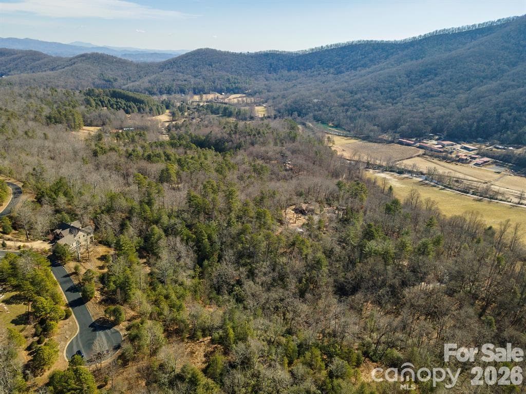 Lot at Lot 12 Shining Rock Path, Horse Shoe, photo 25 of 29