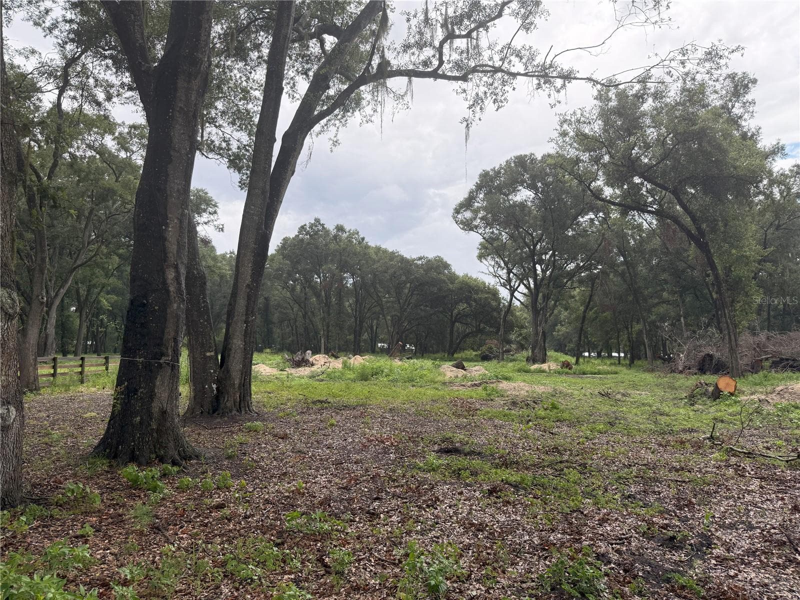 Land at 890 GRAND RONDO W, CRESCENT CITY, photo 9 of 26