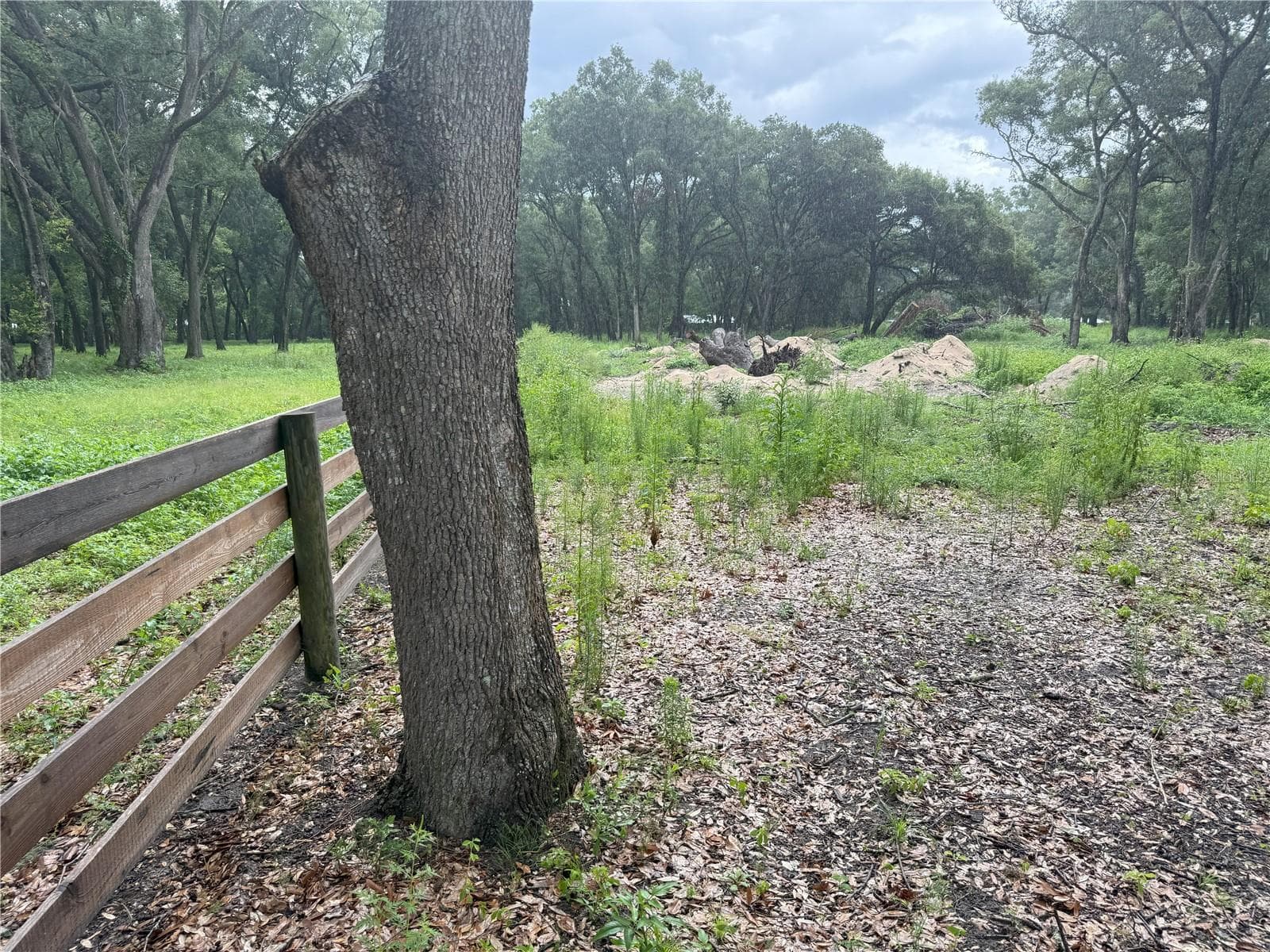Land at 890 GRAND RONDO W, CRESCENT CITY, photo 10 of 26