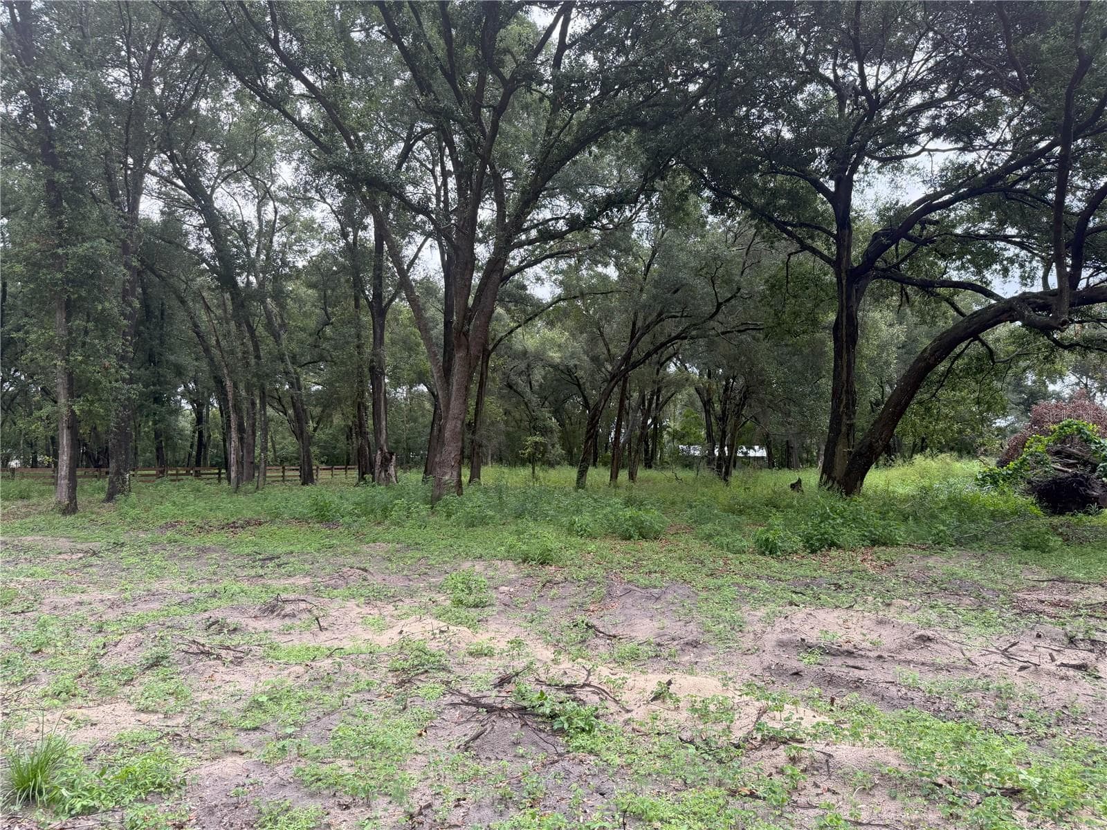 Land at 890 GRAND RONDO W, CRESCENT CITY, photo 13 of 26