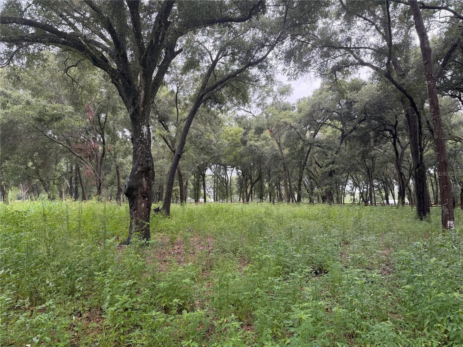 Land at 890 GRAND RONDO W, CRESCENT CITY, photo 16 of 26