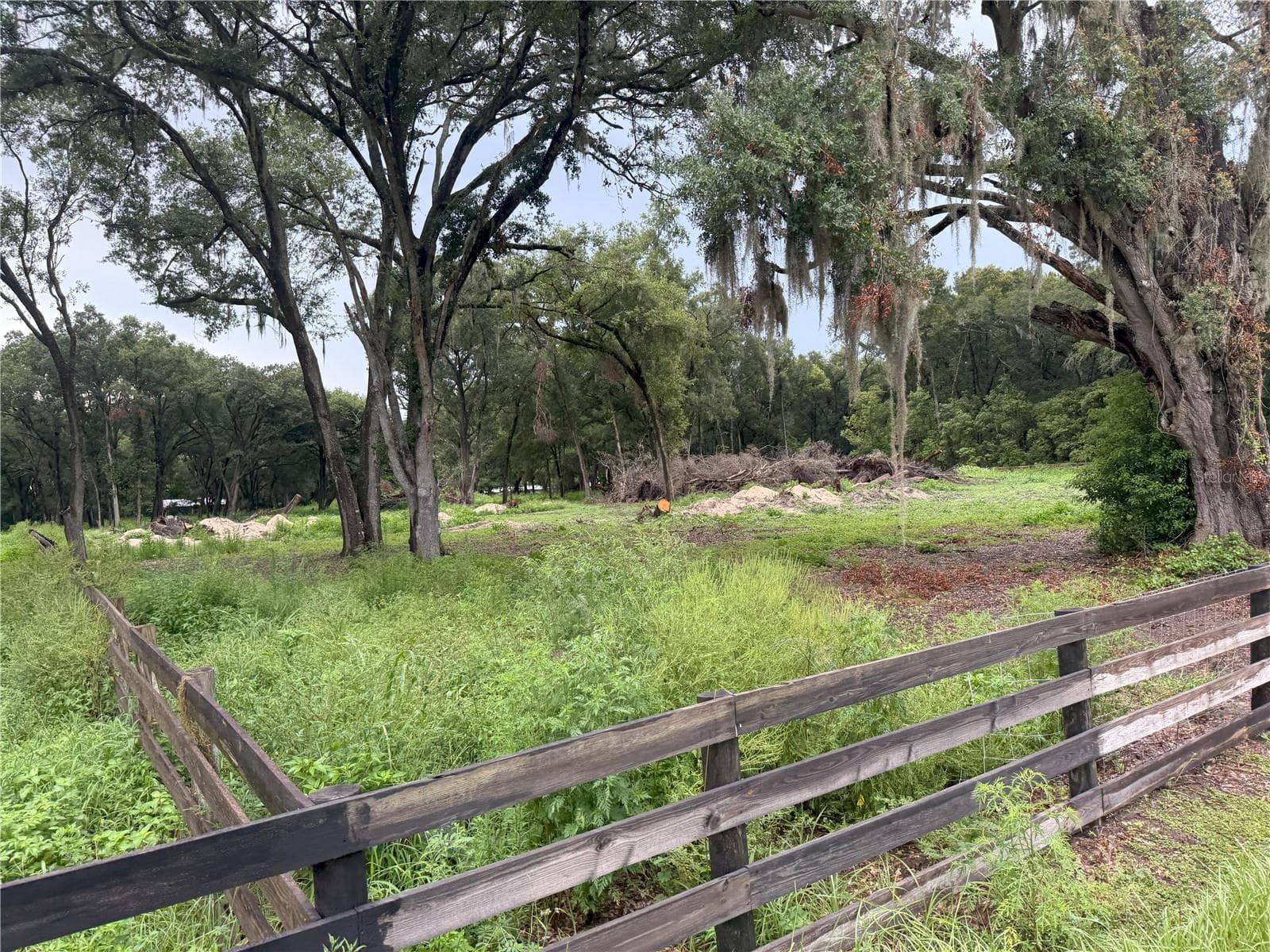 Land at 890 GRAND RONDO W, CRESCENT CITY, photo 18 of 26