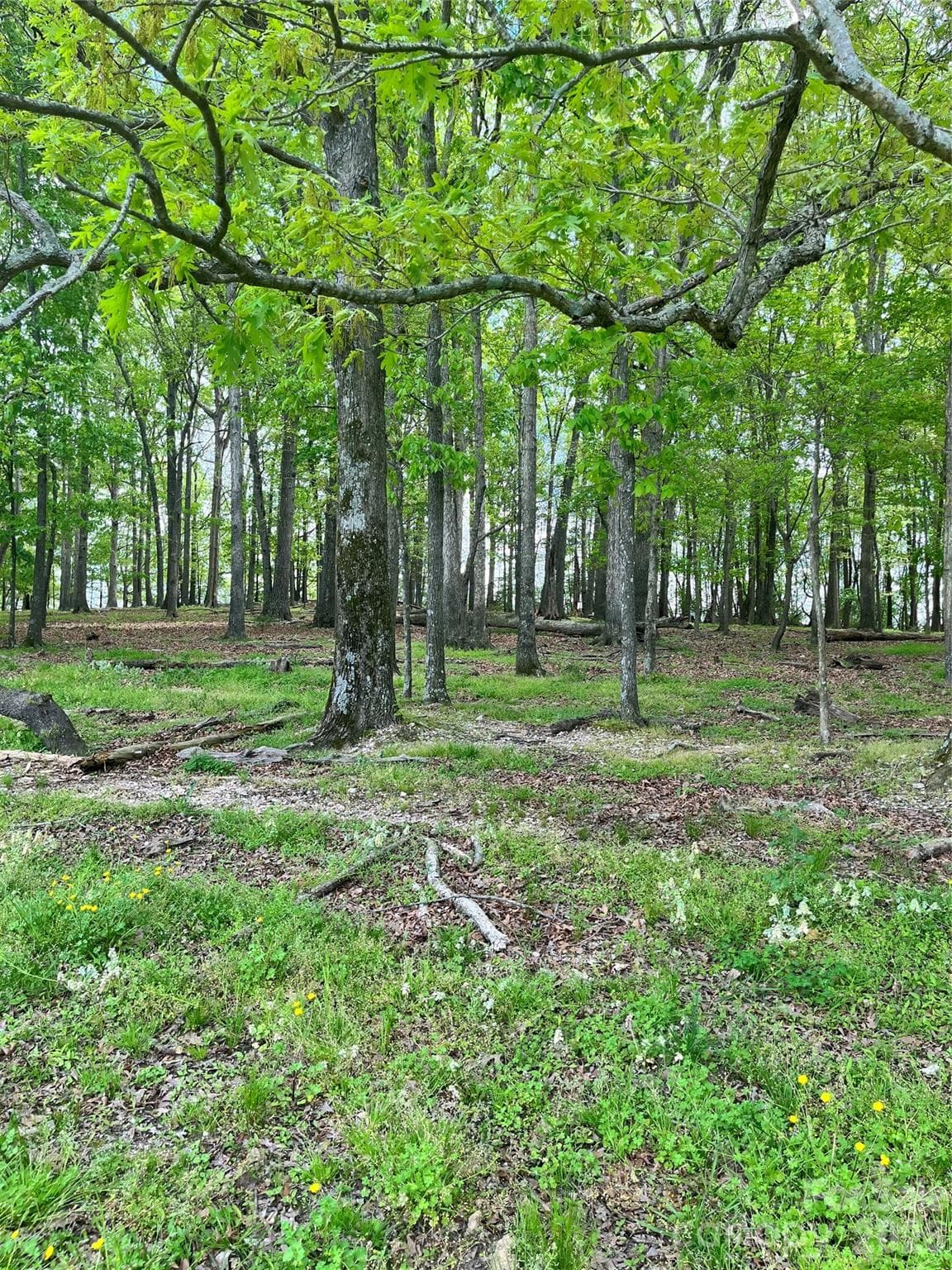 Acreage at 001 Wolf Pond Road, Monroe, photo 2 of 4