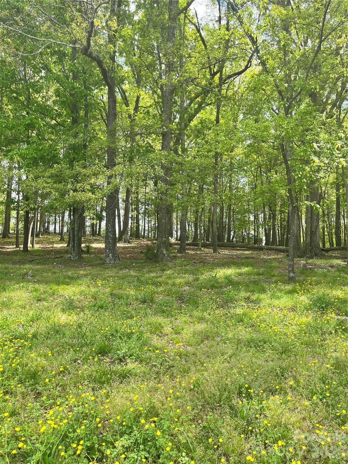 Acreage at 001 Wolf Pond Road, Monroe, photo 3 of 4
