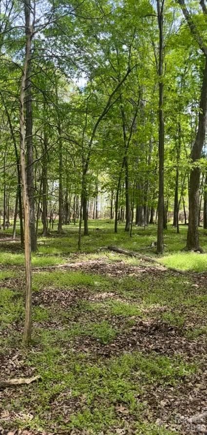 Acreage at 001 Wolf Pond Road, Monroe, photo 4 of 4