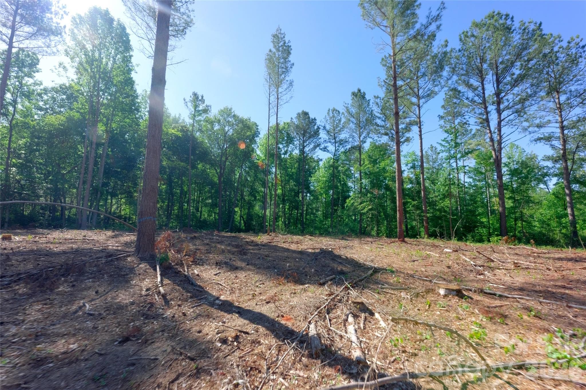 Acreage at 0 Carson Road, Cleveland, photo 5 of 17