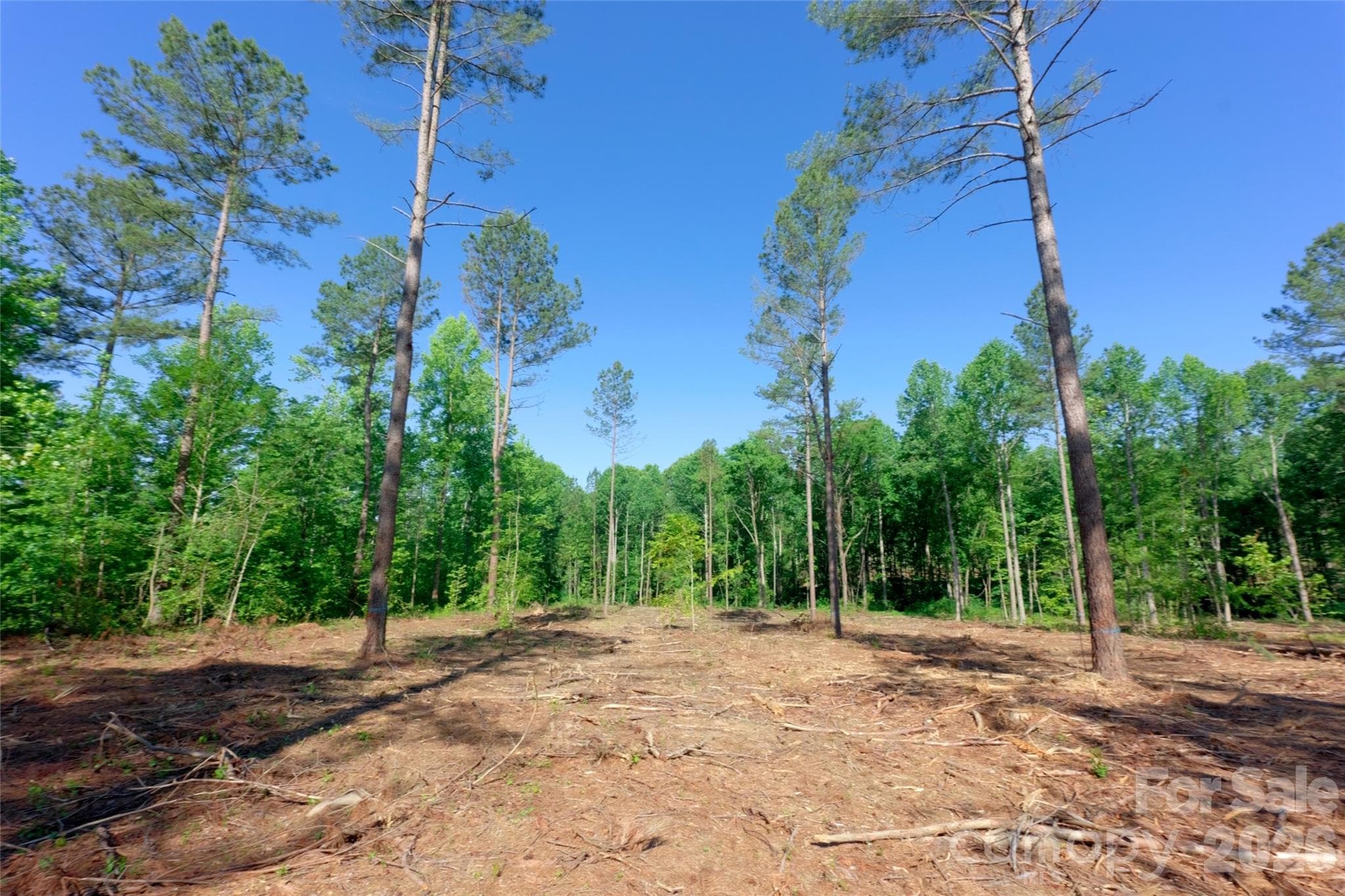 Acreage at 0 Carson Road, Cleveland, photo 7 of 17