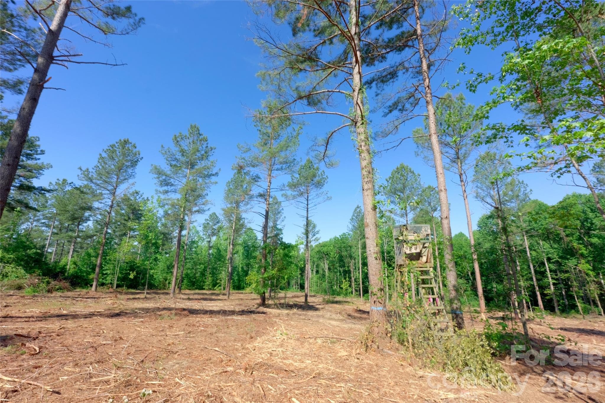 Acreage at 0 Carson Road, Cleveland, photo 8 of 17