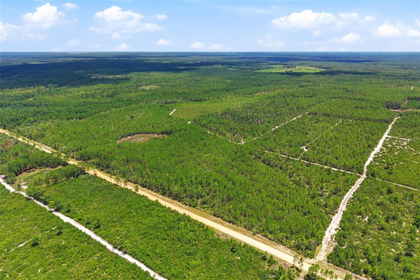Land at LOT 70 MAGGIE JONES ROAD RD, EUSTIS, photo 10 of 10