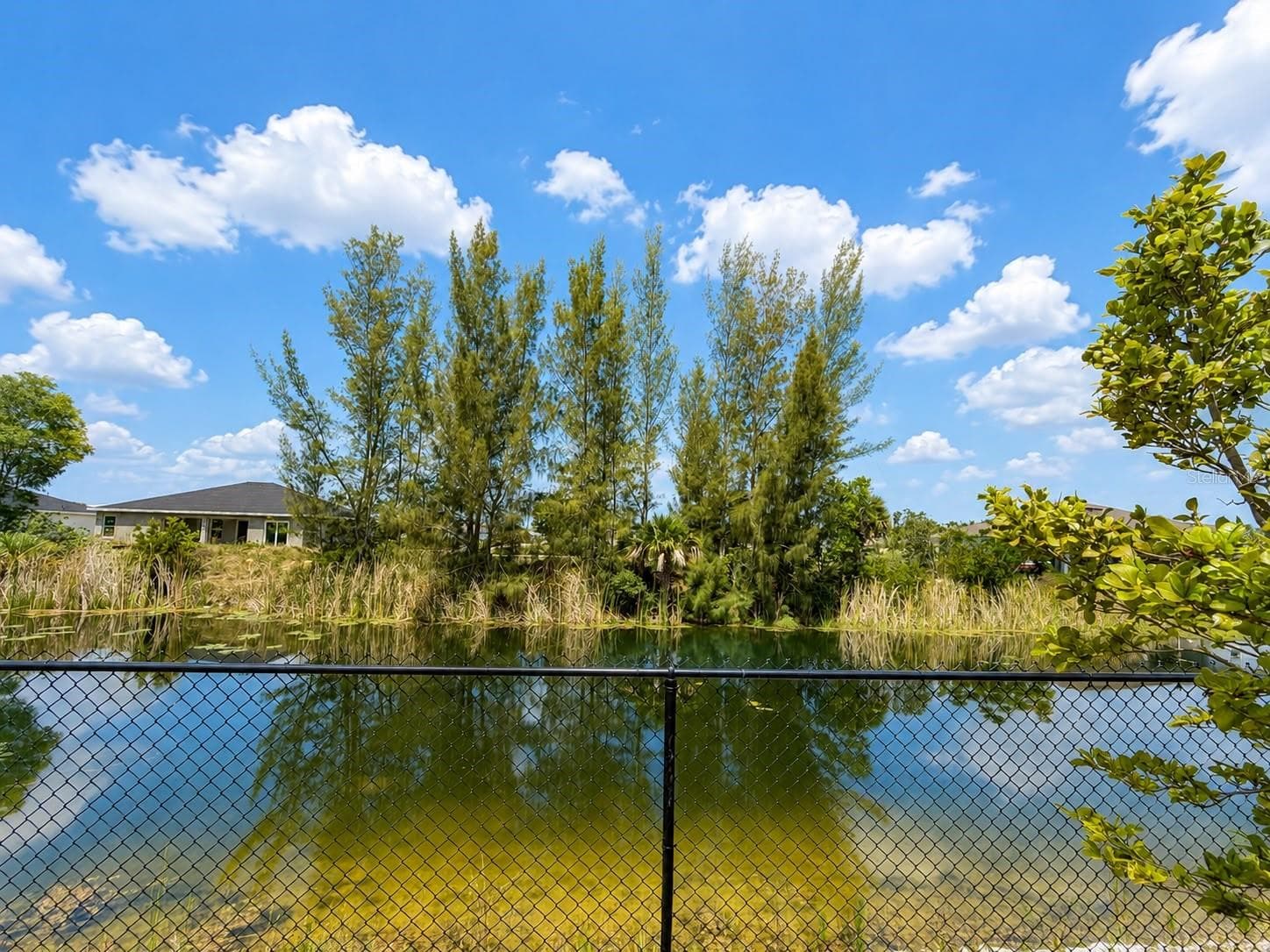 Single Family Residence at 4104 NE 12TH CT, CAPE CORAL, photo 45 of 50