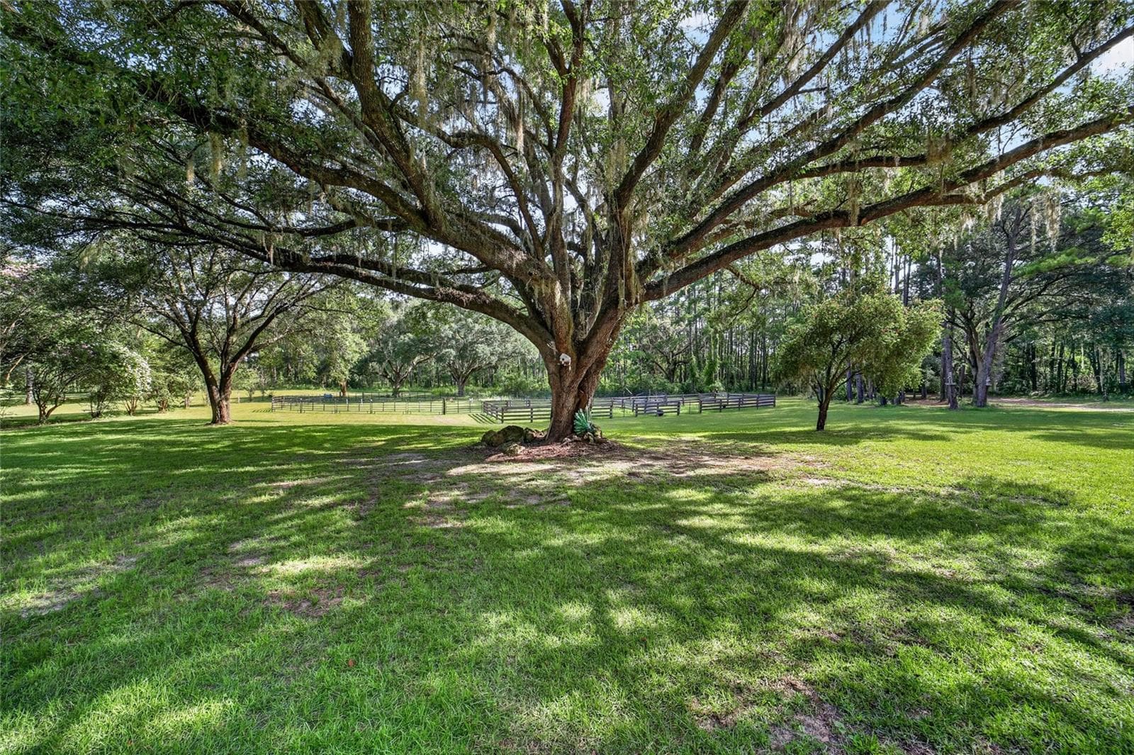 Single Family Residence at 15020 W HIGHWAY 328, OCALA, photo 4 of 42