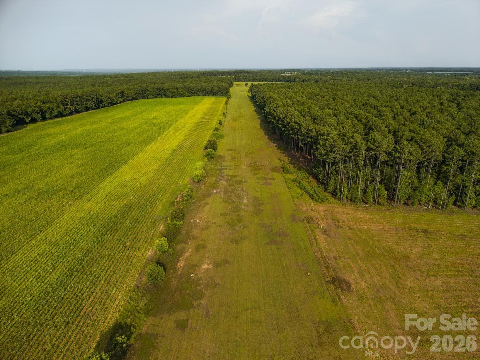 Farm at 121 Athens School Road, Gaston, photo 34 of 34