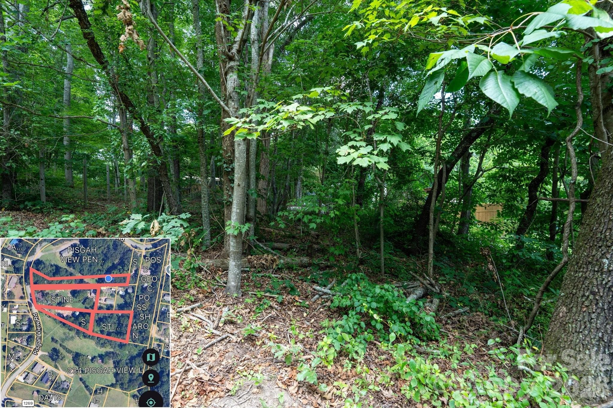 Single Family Residence at 230 Pisgah View Road, Asheville, photo 11 of 23