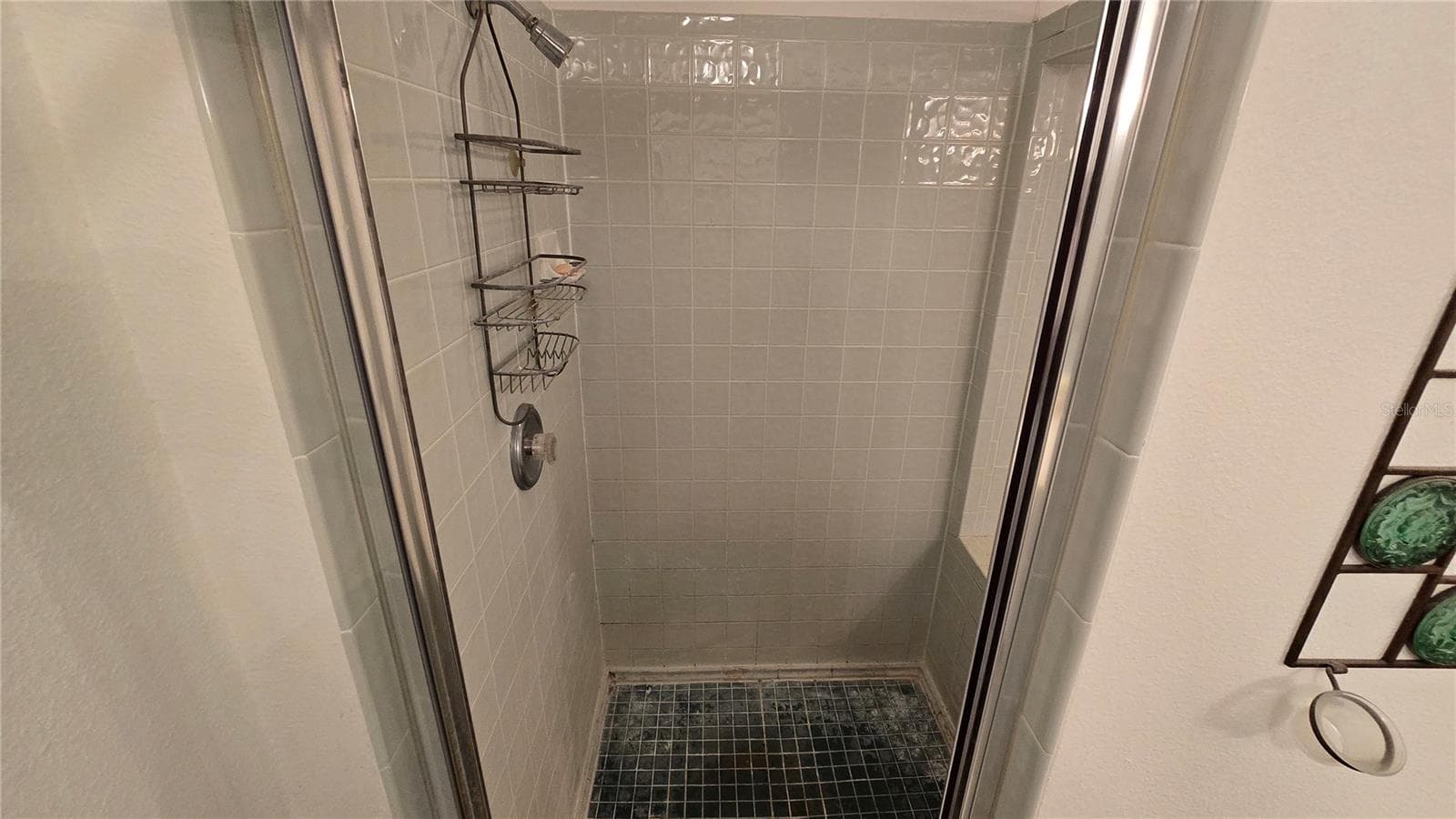 Townhouse at 521 PINELLAS BAYWAY S #206, TIERRA VERDE, photo 35 of 41