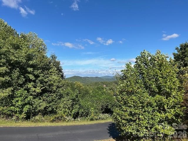 Lot at 0 Tahawus Drive, Bostic, photo 3 of 8