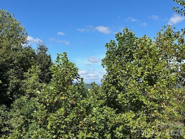Lot at 0 Tahawus Drive, Bostic, photo 4 of 8